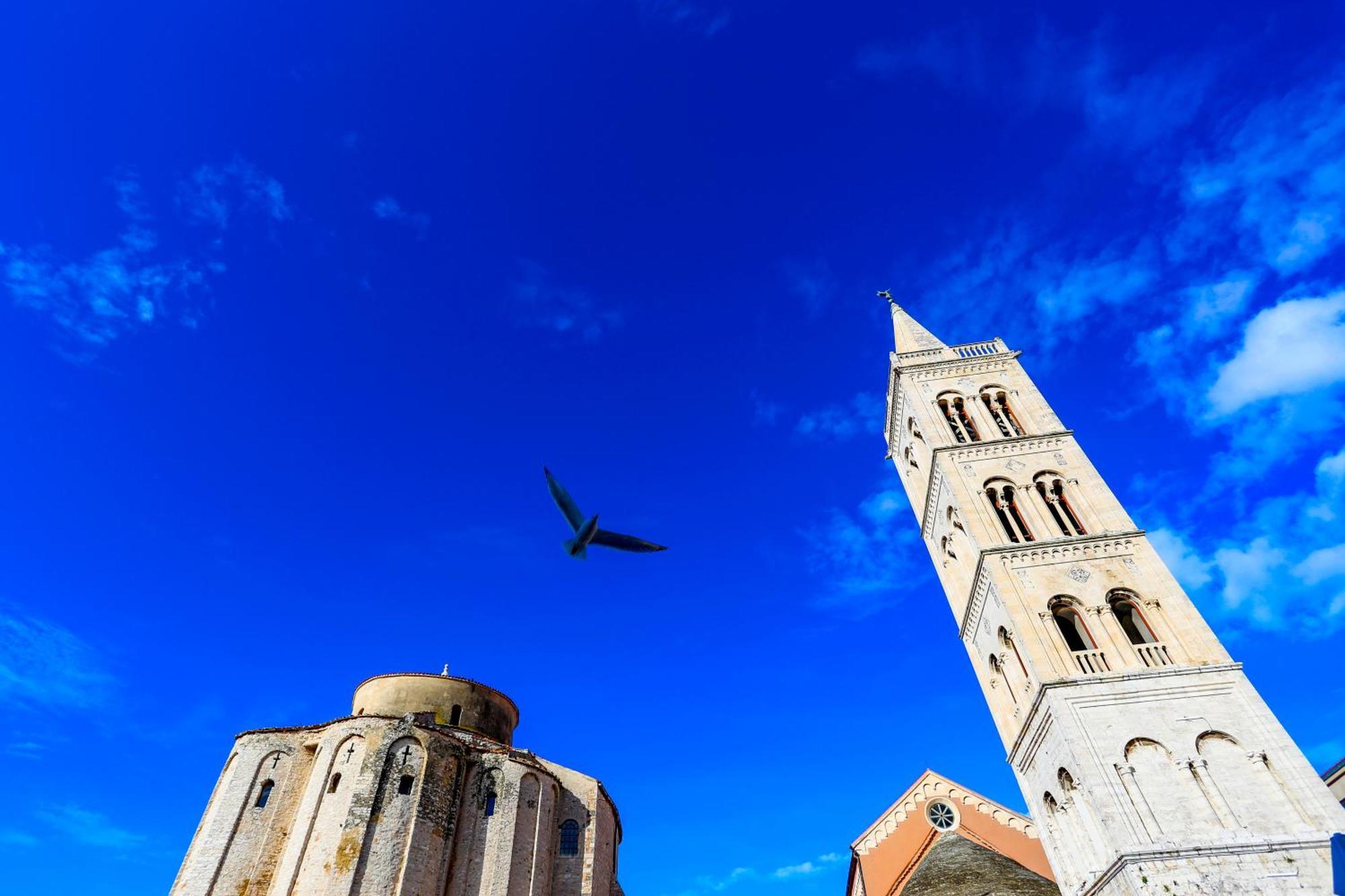 Ryanair's Urban Flat In Zadar-kolovare